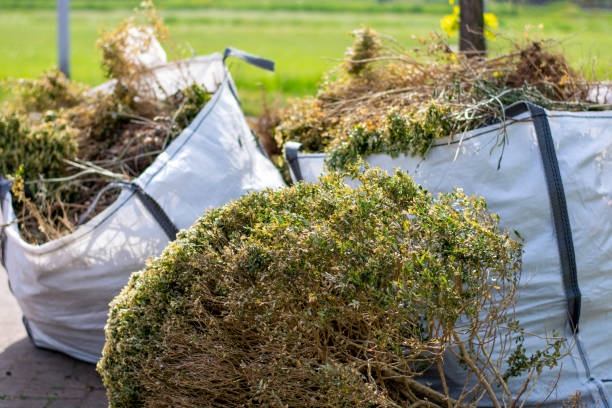 Best Professional Junk Removal  in Kenly, NC